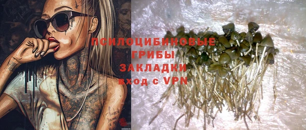 спиды Струнино