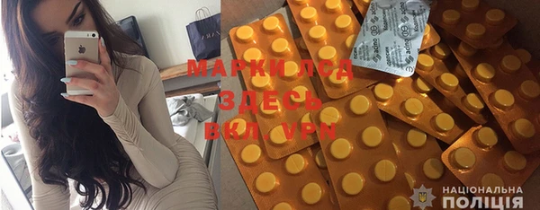 дживик Тайга