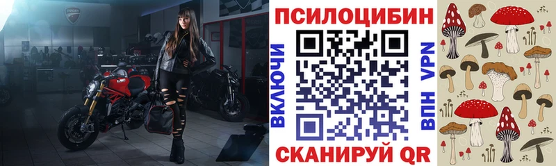 Купить закладки  Черногорск  Галлюциногенные грибы прущие грибы 